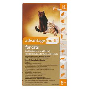 Advantage Multi for Cats Heartworm Prevention and Flea Treatment Elanco Animal Health